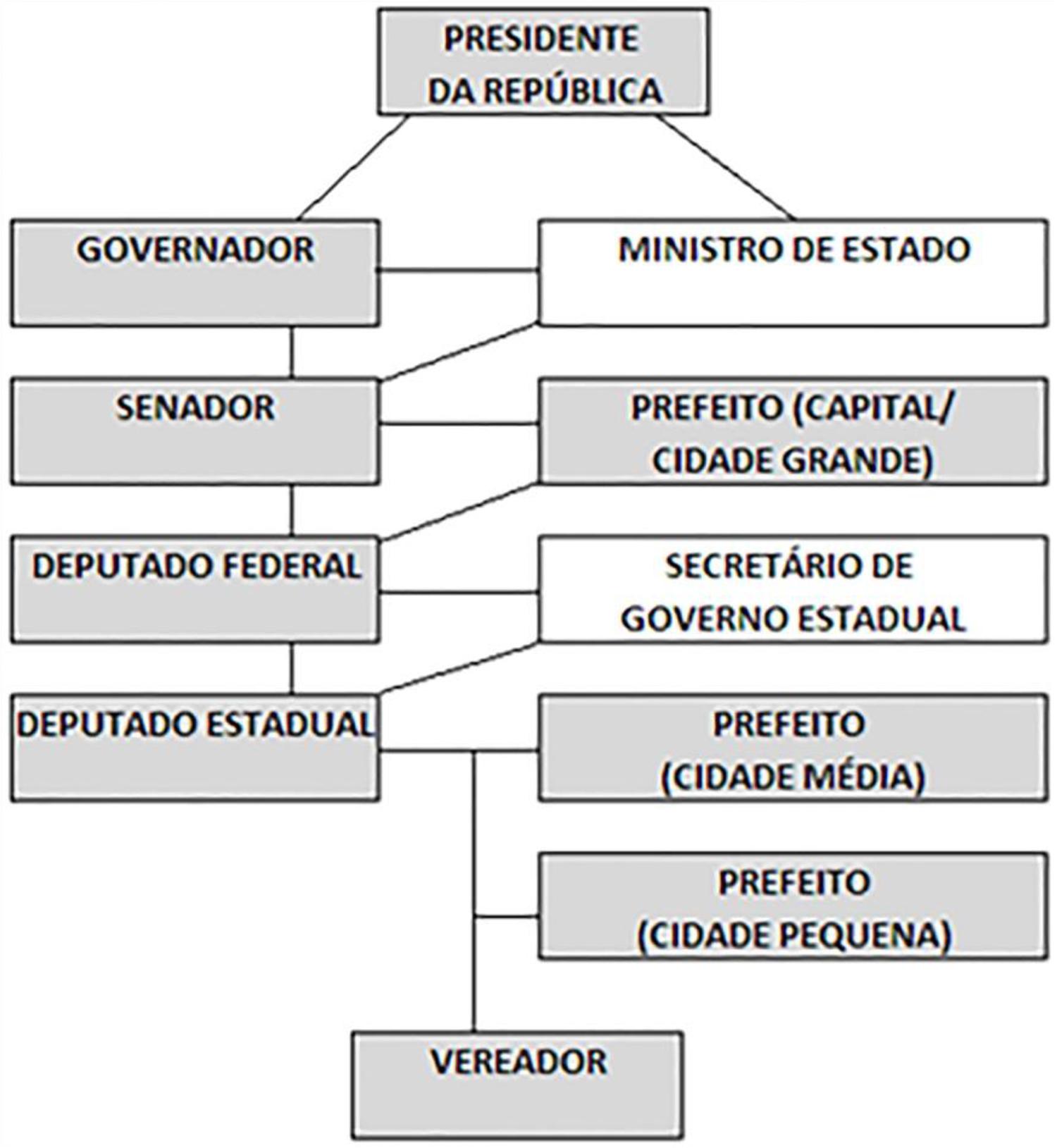 Estrutura de carreira pol&iacute;tica no Brasil