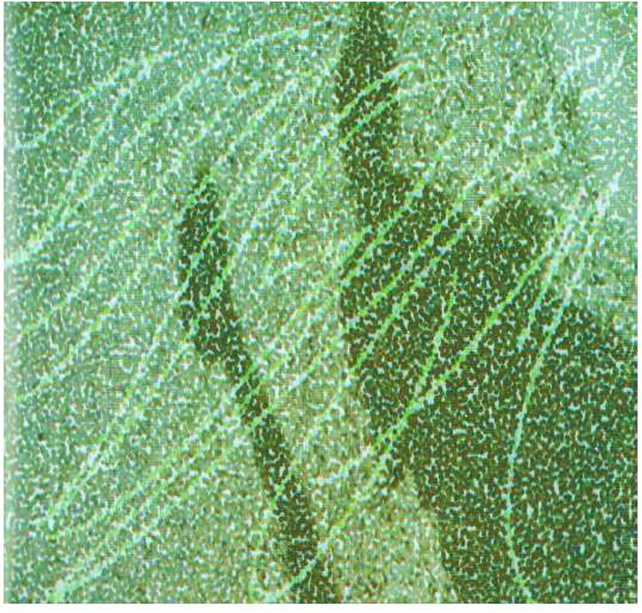 Reprodu&ccedil;&atilde;o do fotopoema &ldquo;οὔτις&rdquo; (1953-2003) de Augusto de Campos