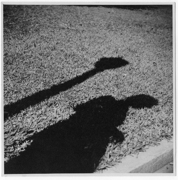 &ldquo;Augusto Sombra 1953&rdquo;. Autorretrato de Augusto de Campos. Registro feito no parque da &Aacute;gua Branca, bairro das Perdizes, S&atilde;o Paulo, em 1953.