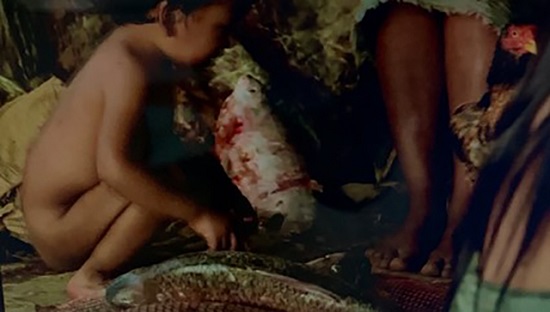 Cena de Zama em que &iacute;ndios limpam o peixe para comer e fornecer alimento para os espanh&oacute;is.