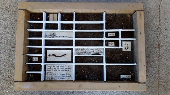 &ldquo;Pastoreando en el plano del pueblo&rdquo;. Caja con tierra, 40x30 cm.