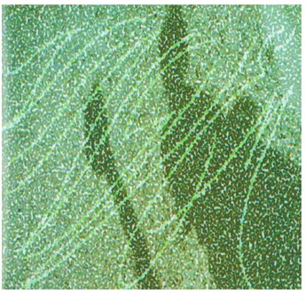 Reprodu&ccedil;&atilde;o do fotopoema οὔτις (1953-2003) de Augusto de Campos.