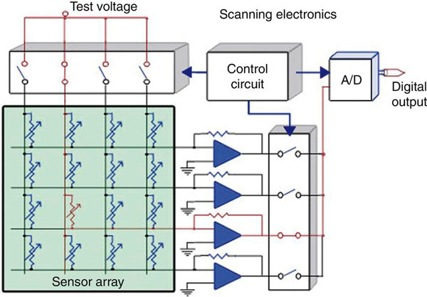 Diagrama de distribuci�n de potenciales el�ctricas del sensor de presiones. T-Scan� III.