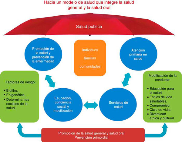 La salud general y oral debe integrarse incluyendo a los servicios de salud, las personas, el sector educativo, la alimentaci�n y el comercio pues resulta importante promover la salud y controlar los factores de riesgo en el ciclo vital.