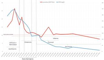 Evolución de la PCR y recuento de leucocitos durante la hospitalización, se destaca su relación con los aseos quirúrgicos y terapias antibióticas implementadas.