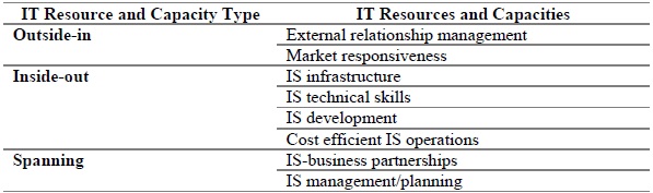 IS Resources and Capacities