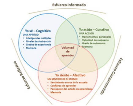 Procesos mentales que operan en los patrones de aprendizaje