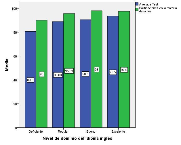 Nivel de conocimiento del idioma ingls
