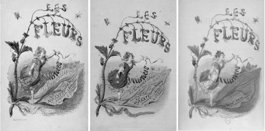 Ilustraciones de 
              Les fleurs anim&eacute;s