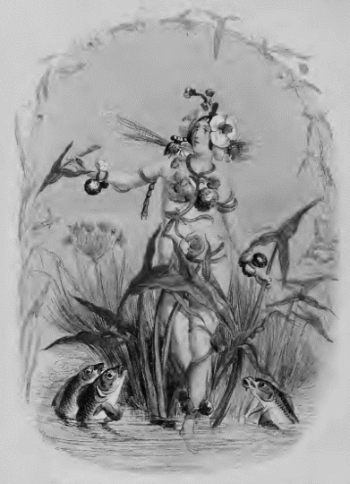 Ilustraci&oacute;n titulada 
              Fl&egrave;che d?eauomitida por 
              El &aacute;lbum mexicano