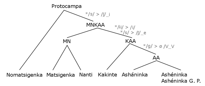 Clasificación interna de la familia campa según
                  Michael (2011)