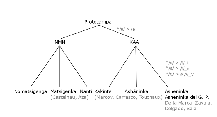 Nuevo esbozo de clasificación interna de la familia campa