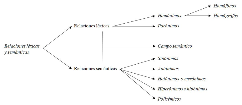 Relaciones l�xicas y sem�nticas