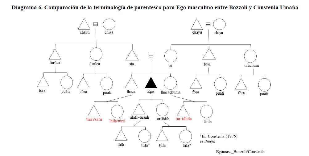 Diagrama 6. Comparaci&oacute;n de la terminolog&iacute;a de parentesco para Ego masculino entre Bozzoli y Constenla Uma&ntilde;a
