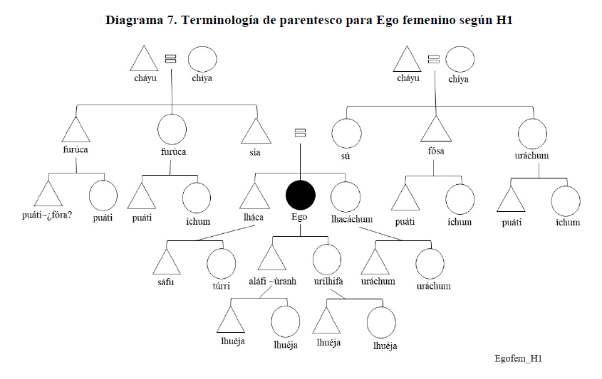 Diagrama 7. Terminolog&iacute;a de parentesco para Ego femenino seg&uacute;n H1