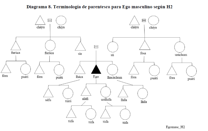 Diagrama 8. Terminolog&iacute;a de parentesco para Ego masculino seg&uacute;n H2