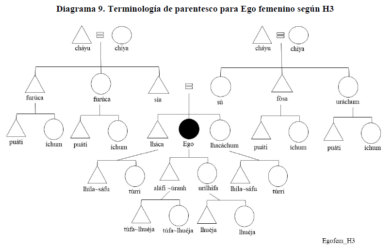 Diagrama 9. Terminolog&iacute;a de parentesco para Ego femenino seg&uacute;n H3