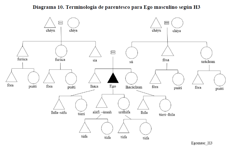 Diagrama 10. Terminolog&iacute;a de parentesco para Ego masculino seg&uacute;n H3
