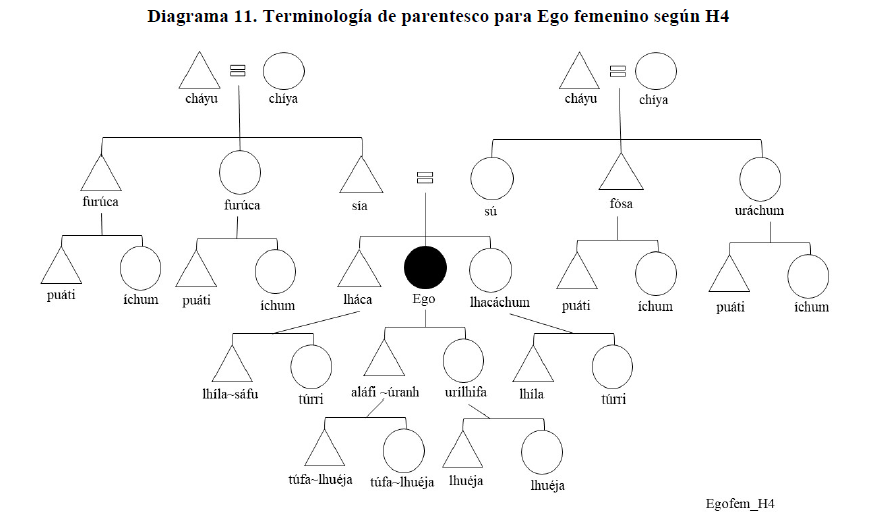 Diagrama 11. Terminolog&iacute;a de parentesco para Ego femenino seg&uacute;n H4