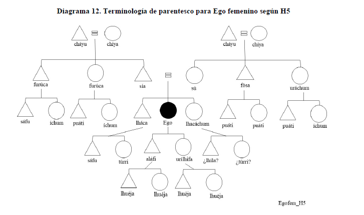 Diagrama 12. Terminolog&iacute;a de parentesco para Ego femenino seg&uacute;n H5