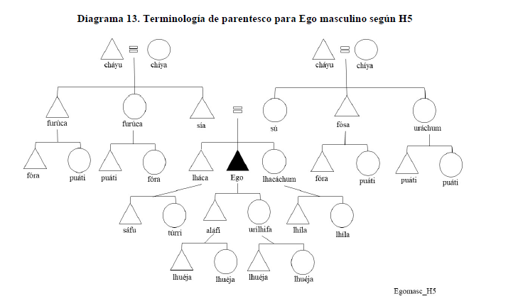 Diagrama 13. Terminolog&iacute;a de parentesco para Ego masculino seg&uacute;n H5
