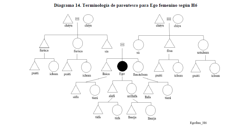 Diagrama 14. Terminolog&iacute;a de parentesco para Ego femenino seg&uacute;n H6