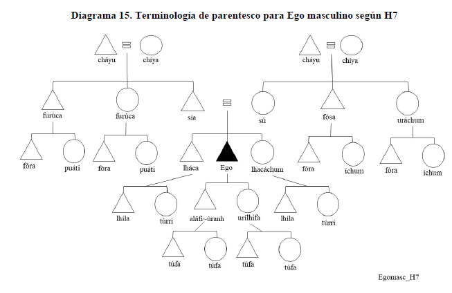 Diagrama 15. Terminolog&iacute;a de parentesco para Ego masculino seg&uacute;n H7