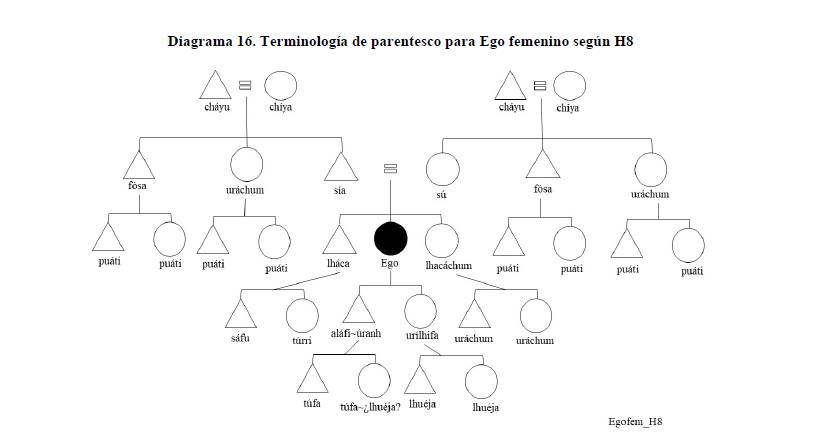 Diagrama 16. Terminolog&iacute;a de parentesco para Ego femenino seg&uacute;n H8