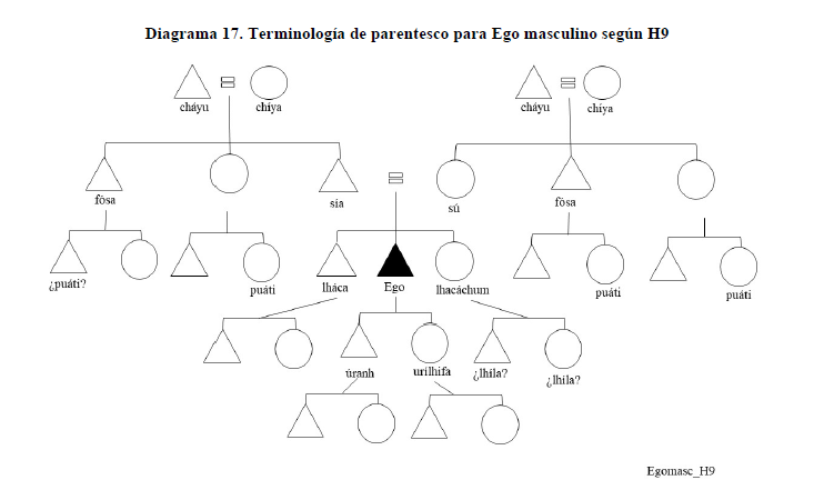 Diagrama 17. Terminolog&iacute;a de parentesco para Ego masculino seg&uacute;n H9