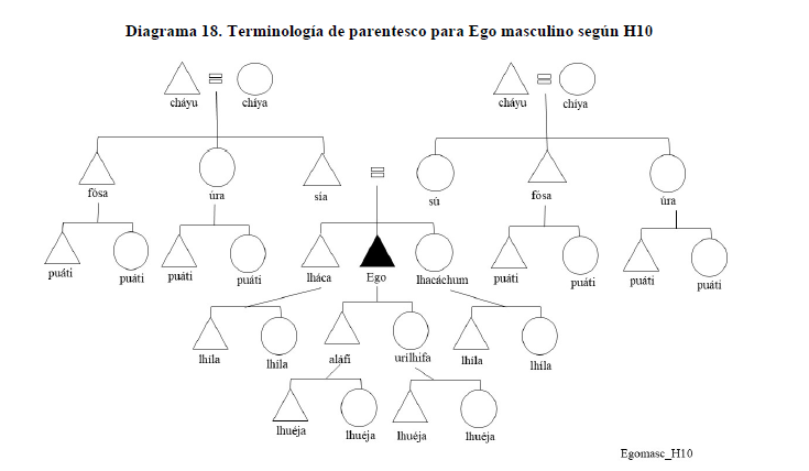 Diagrama 18. Terminolog&iacute;a de parentesco para Ego masculino seg&uacute;n H10