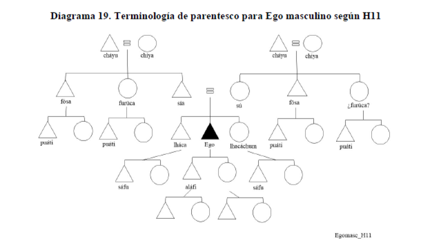 Diagrama 19. Terminolog&iacute;a de parentesco para Ego masculino seg&uacute;n H11