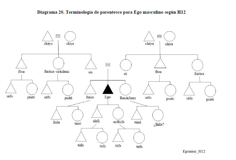 Diagrama 20. Terminolog&iacute;a de parentesco para Ego masculino seg&uacute;n H12