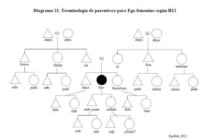 Diagrama 21. Terminolog&iacute;a de parentesco para Ego femenino seg&uacute;n H12