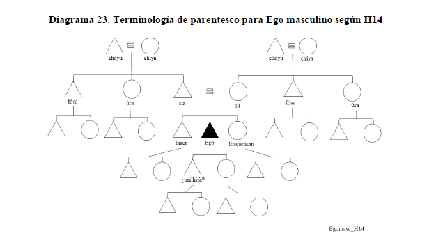 Diagrama 23. Terminolog&iacute;a de parentesco para Ego masculino seg&uacute;n H14