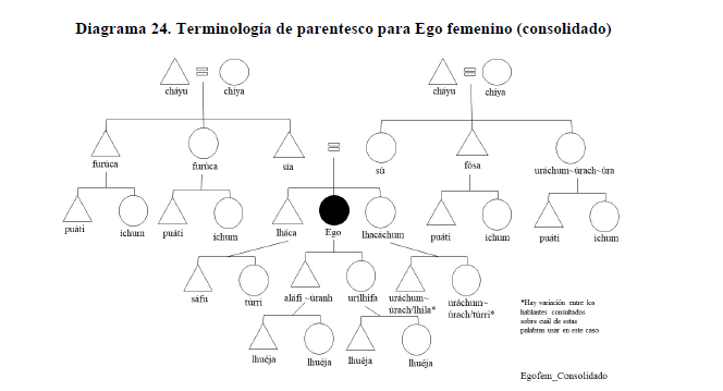 Diagrama 24. Terminolog&iacute;a de parentesco para Ego femenino (consolidado)