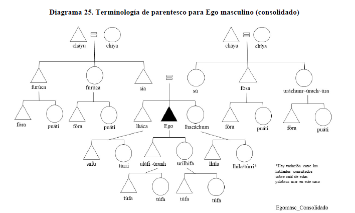 Diagrama 25. Terminolog&iacute;a de parentesco para Ego masculino (consolidado)