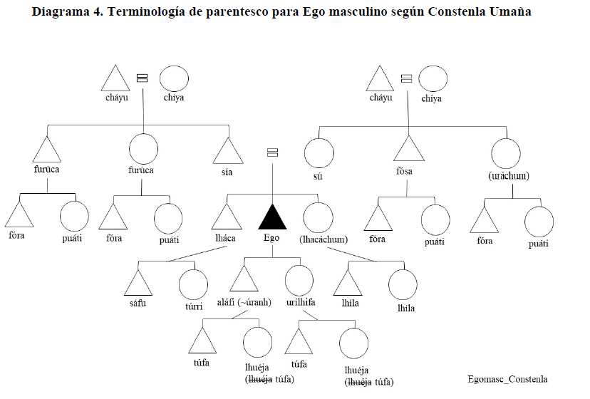 Diagrama 4. Terminolog&iacute;a de parentesco para Ego masculino seg&uacute;n Constenla Uma&ntilde;a 