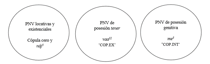 Codificaci�n de las PNV afirmativas