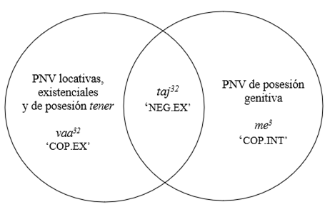 Codificaci�n de las PNV negativas
