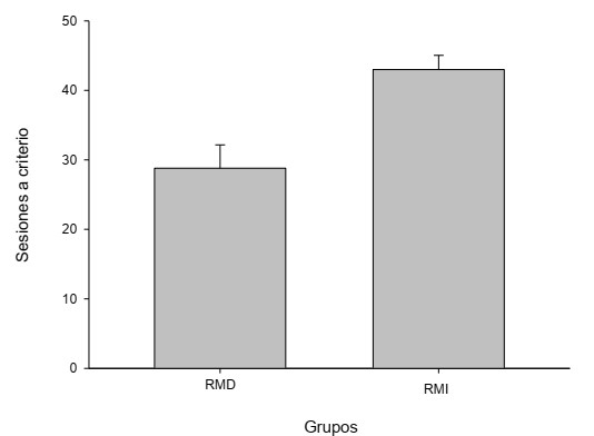 Sesiones promedio para alcanzar un &iacute;ndice de .85 en tres sesiones consecutivas para el Grupo Respuestas Morfol&oacute;gicamente Diferentes (RMD) y el Grupo Respuestas Morfol&oacute;gicamente Iguales (RMI). Las l&iacute;neas verticales sobre las barras corresponden al error est&aacute;ndar.