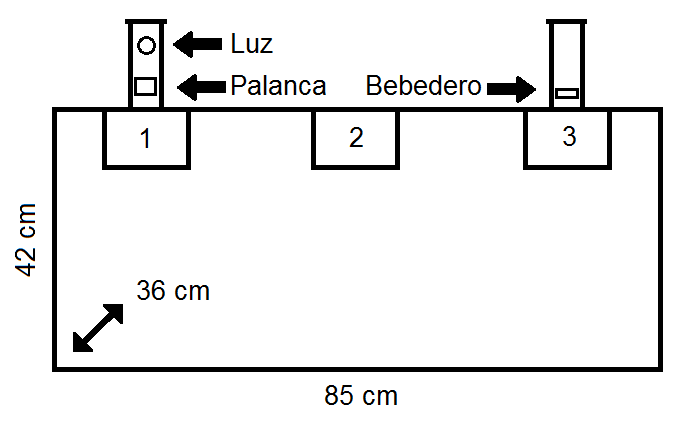 Descripci&oacute;n esquem&aacute;tica de la c&aacute;mara experimental Los rect&aacute;ngulos con los n&uacute;meros 1 2 y 3 son las zonas en las que era posible instalar los diversos dispositivos (sur central norte). Este caso ejemplifica la condici&oacute;n con mayor distancia espacial entre los dispositivos.