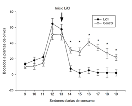 Diferencias entre sesiones antes y despu�s del LiCl. Se observa que antes de iniciar el tratamiento con LiCl las sesiones de consumo no difieren entre grupos, para posteriormente si diferir (asteriscos marcan diferencias significativas entre grupos). Los resultados se expresan como media � SEM.