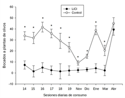 Efecto en el tiempo del LiCl. Se observa como el tratamiento perdur� en el tiempo inclusive en los registros mensuales posteriores (asteriscos marcan diferencias significativas entre grupos). Sin embargo, la diferencia entre grupos dej� de percibirse en la sesi�n del mes de abril (6 meses despu�s del tratamiento). Los resultados se expresan como media � SEM.
