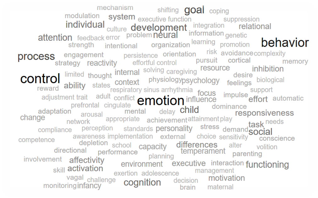 Cloud Word corresponding to the most frequent terms used in the definition of SR.