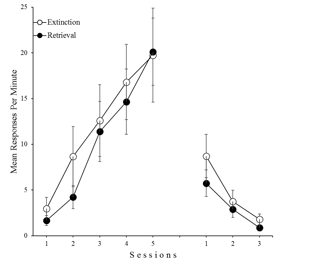 The left panel shows mean responses during each of the sessions of Phase 1 for both groups while the right panel shows mean responses during each of the sessions of Phase 2 for Extinction and Retrieval groups.