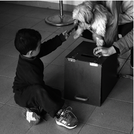 Fotografa de los materiales y del perro que particip de la tarea.