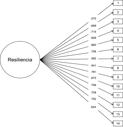 An�lisis factorial confirmatorio de la ER-14