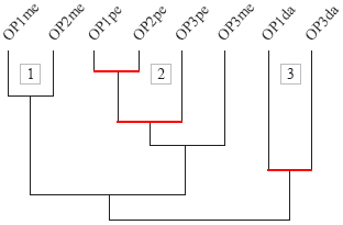 Similarity diagram of grade
9 students’ approaches in the tasks