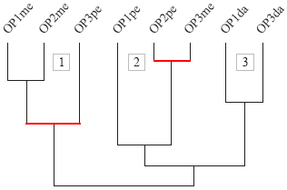 Similarity diagram of grade
10 students’ approaches in the tasks
