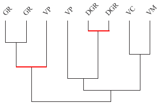  Similarity diagram of grade
10 students’ approaches in the tasks